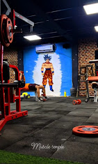 The Transformation Gym